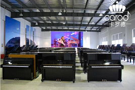 热烈庆祝卡罗德钢琴经销商考察交流会在上海成功举行 技术服务赋能行业未来
