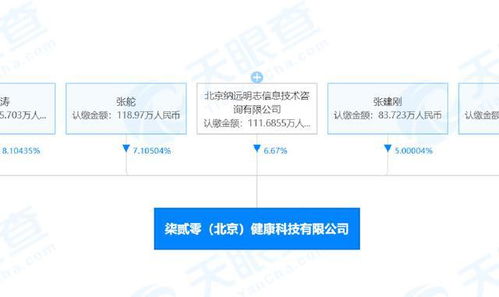 项立刚 技术咨询领域的争议人物及其与联想的关系